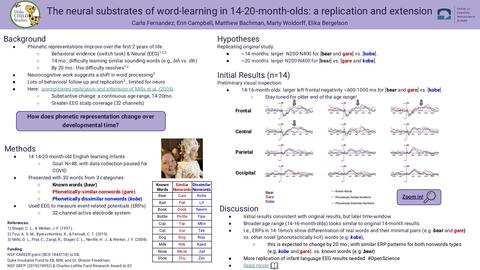 Scientific Poster